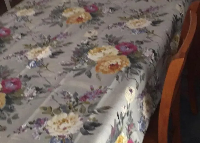 公寓 Alenka 特孔